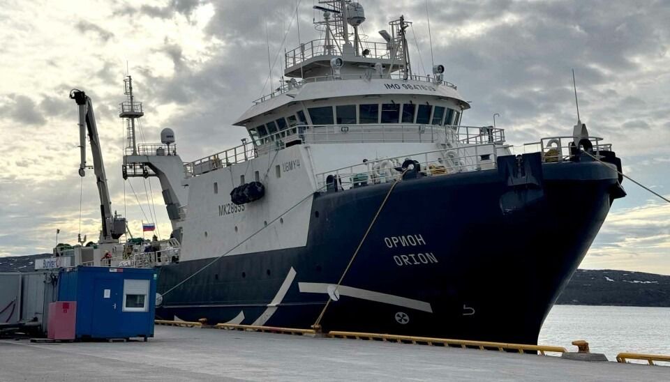The Russian fishing vessel Orion alongside in a northern port
